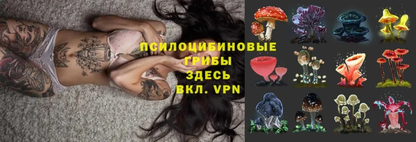 spice Алзамай