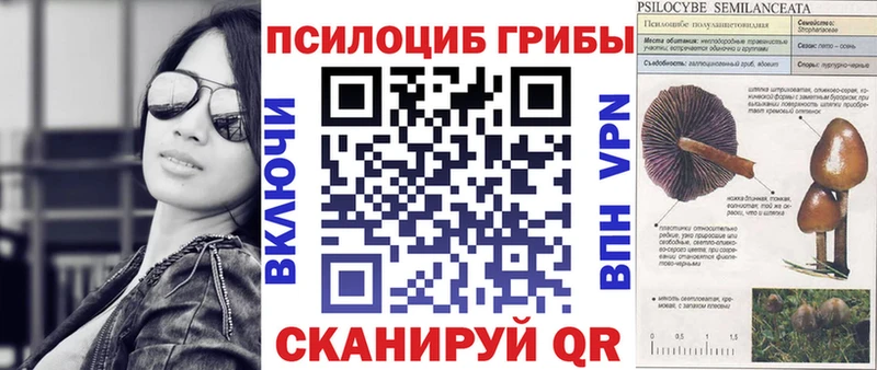 даркнет как зайти  Алзамай  Псилоцибиновые грибы ЛСД 